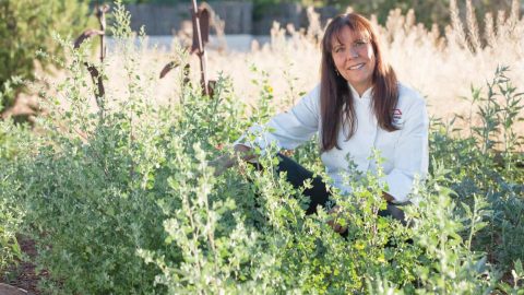 head shot Lois Ellen Frank chef and Native American food historian