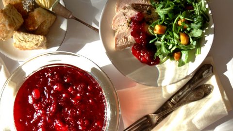plate of cranberry sauce with roast turkey and salad