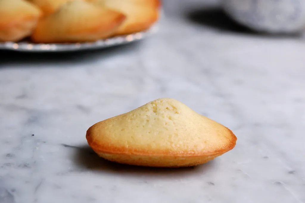 French Madeleine Cookies – If You Give a Blonde a Kitchen