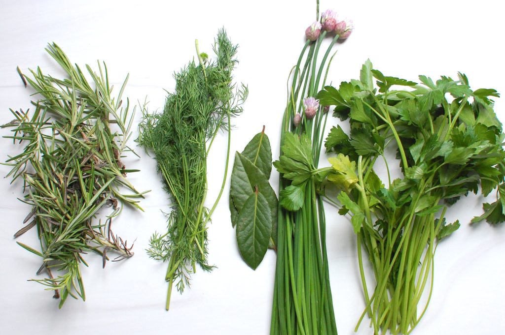 how to store fresh herbs like rosemary, dill, bay leaves, chives, cilantro, and parsley