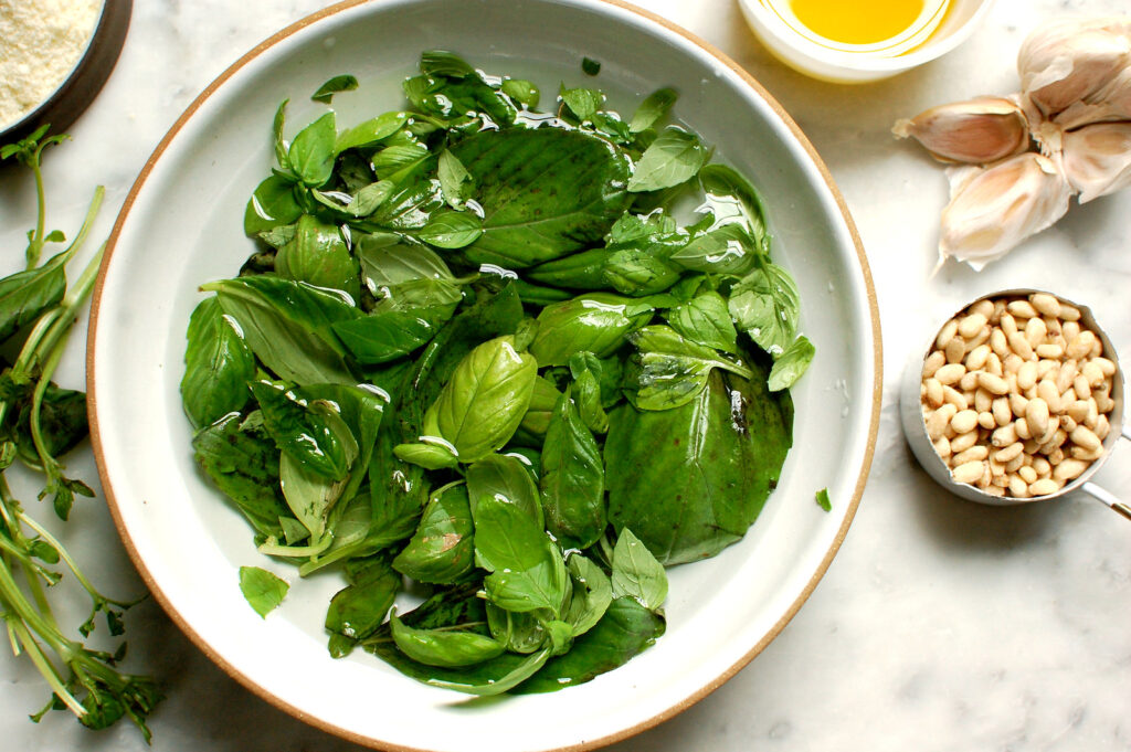 Fresh green basil leaves fully submerged in a glass bowl of cold water, a step that keeps homemade pesto bright and un-bitter