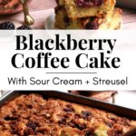 Blackberry coffee cake with sour cream and streusel topping recipe