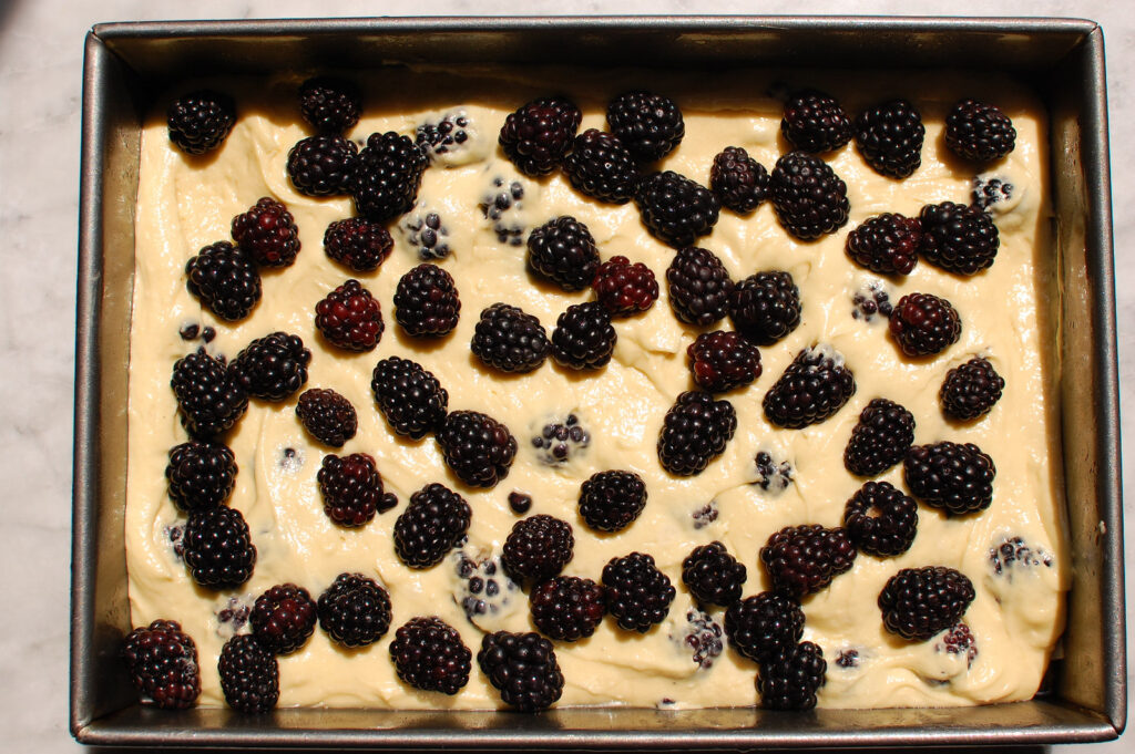 recipe step of topping the blackberry coffee cake batter with remaining blackberries before adding streusel topping